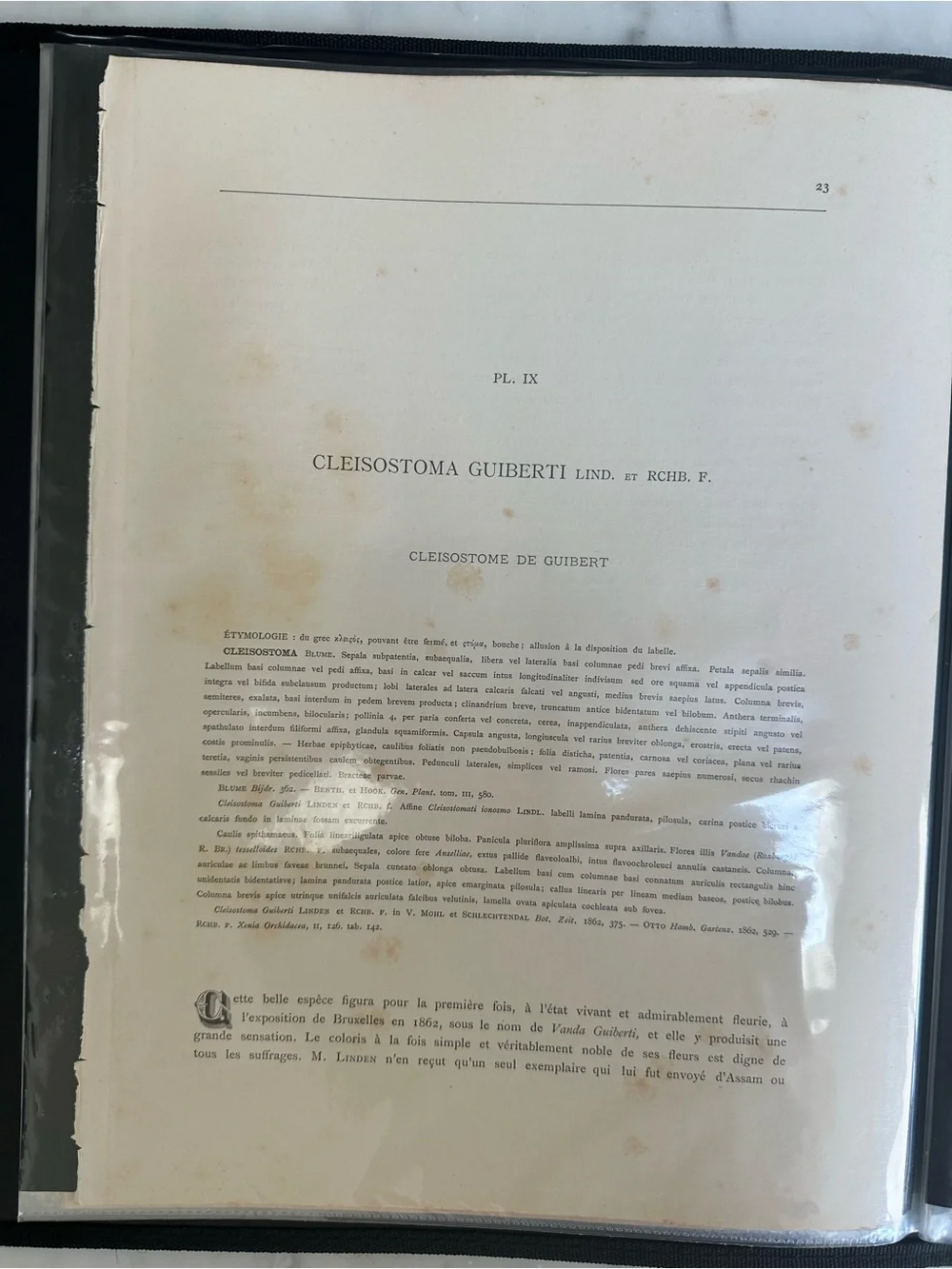 1885 Lindenia Iconographie des Orchidées, a legendary